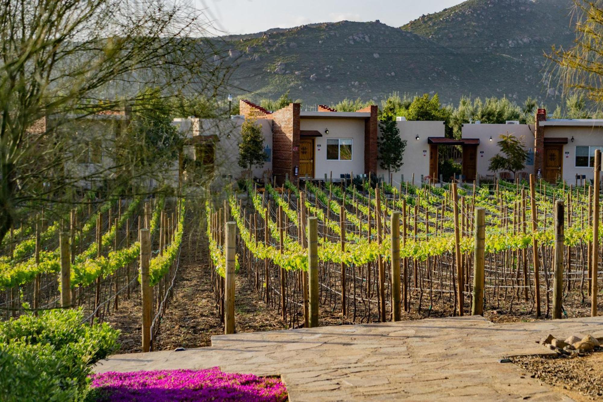 Ojo Azul Resort Valle de Guadalupe Exterior photo